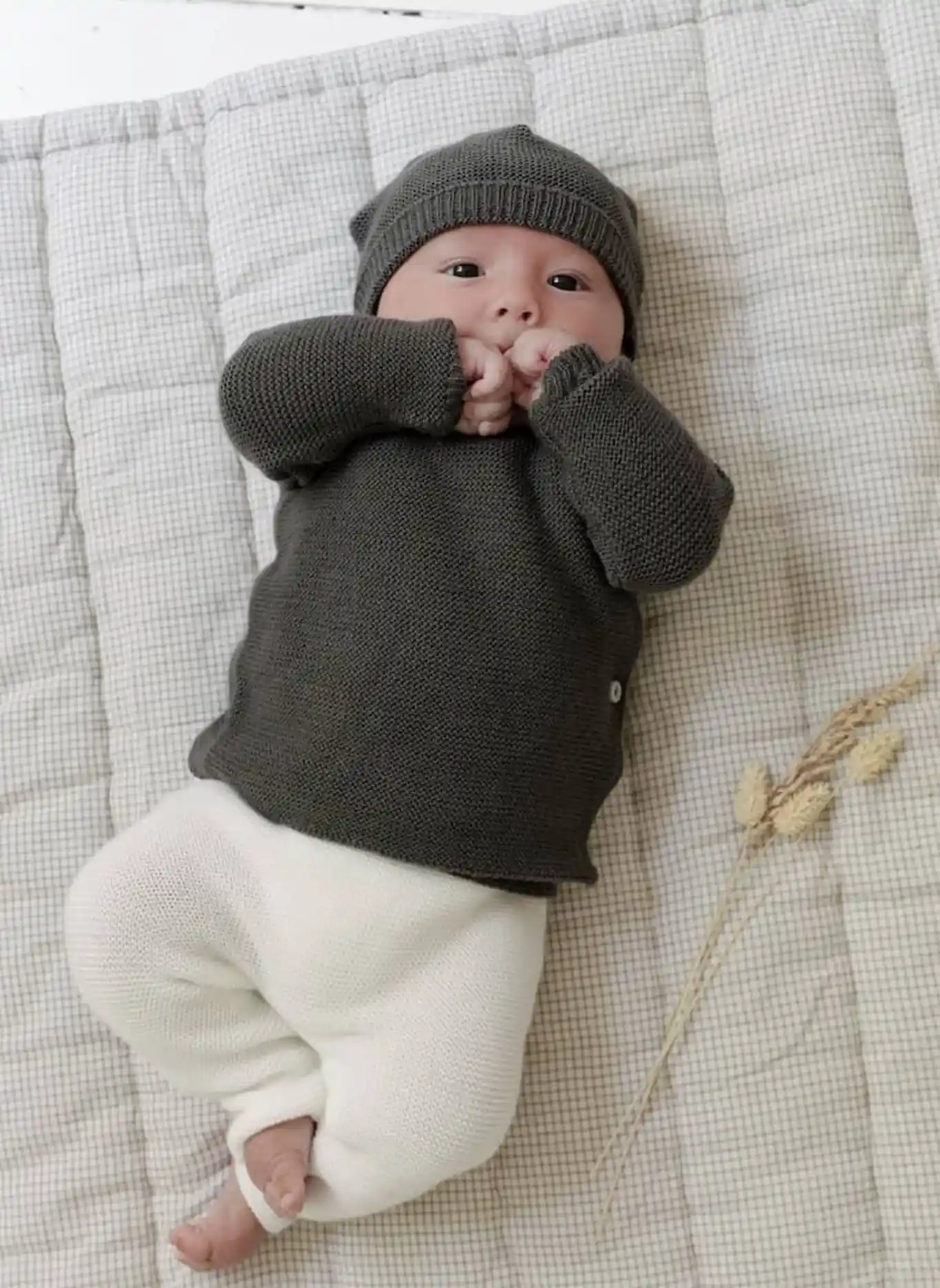 brassiere bebe gris naissance